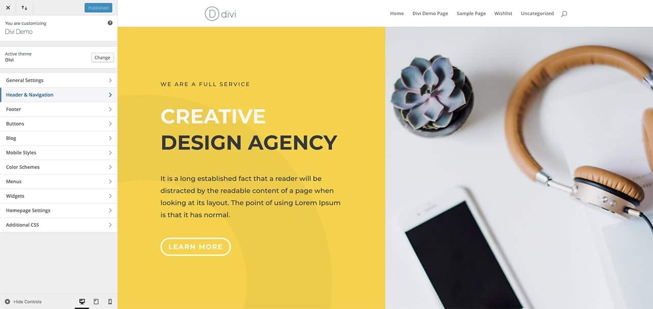 Divi Customization Options