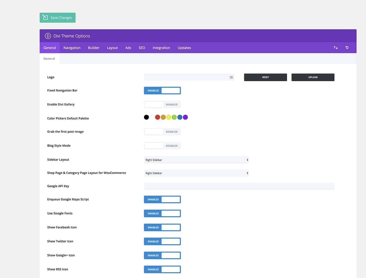 Divi Theme Options Page