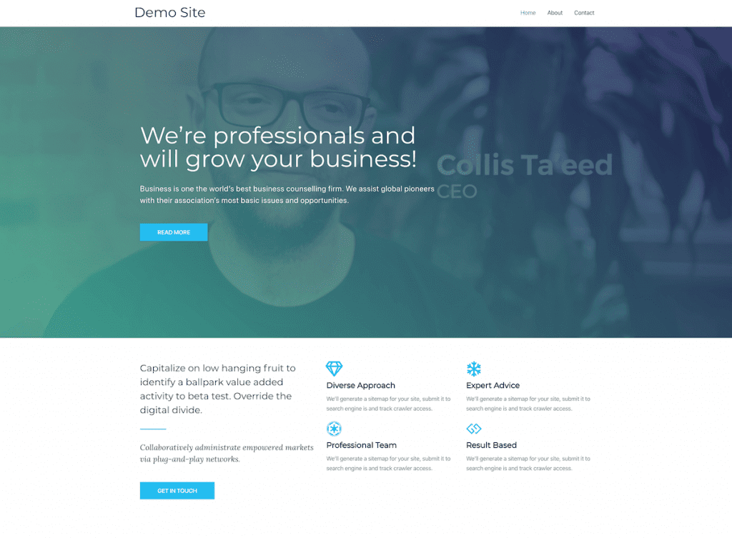 Demo website with Elementor