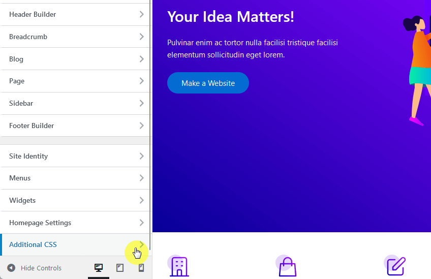 additional css customizer option