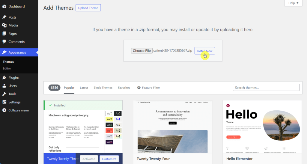Install Salient theme